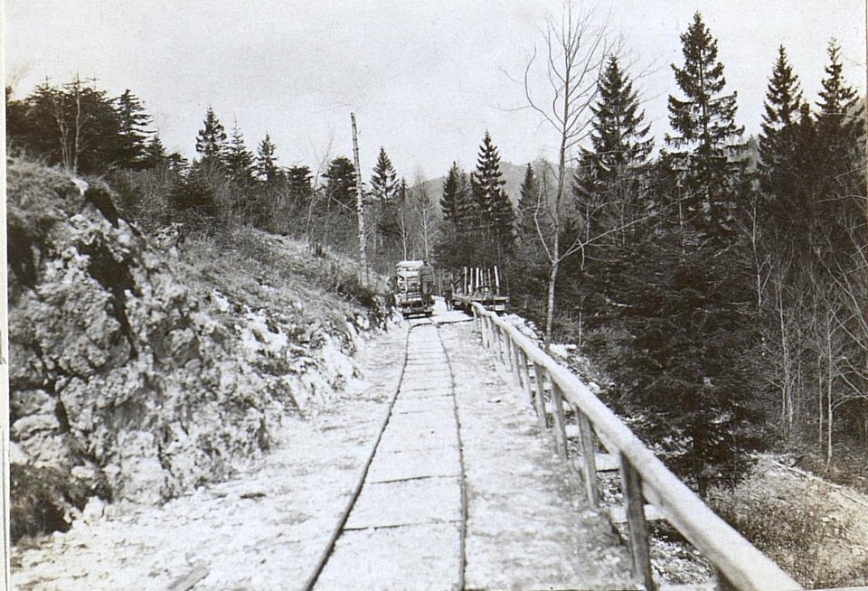 Holz und Kohlengewinnung in Predmeja (BildID 15596825)