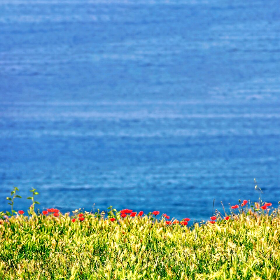 Summer sky sea
