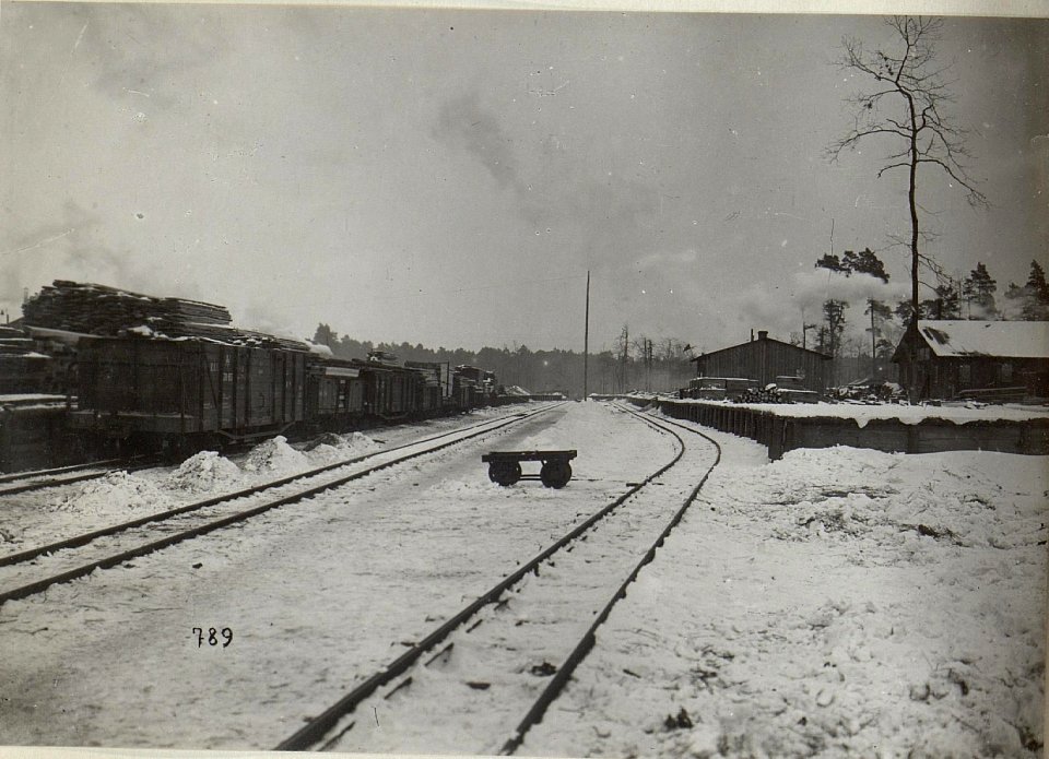 Holzverarbeitung in Galizien (BildID 15681839)