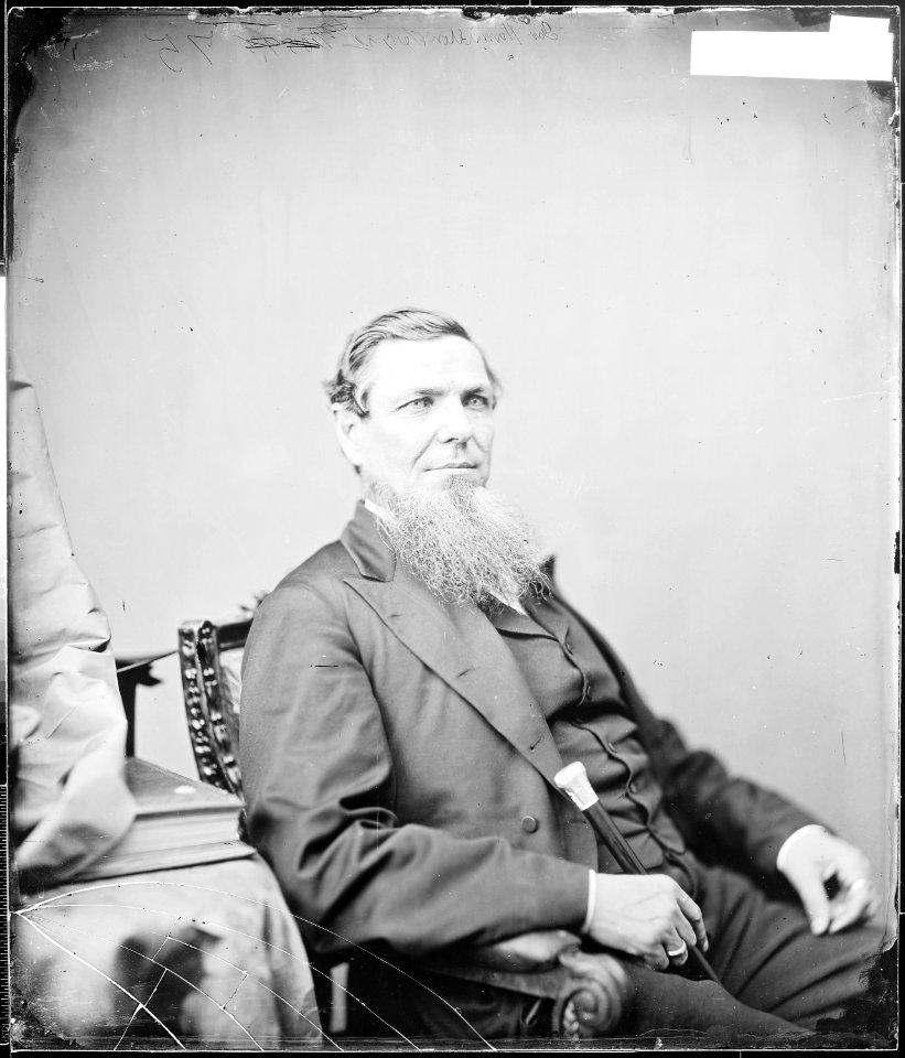 Hon. Andrew J. Hamilton, Texas - NARA - 529947
