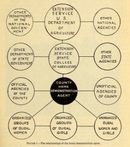 Home Demonstration Work-Fig 7 Home Demonstration Agent Relationships photo