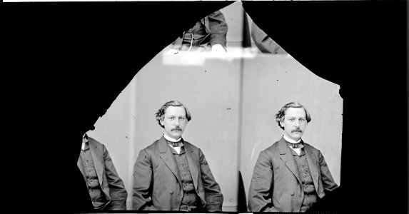 Hon. Andrew J. Rogers, N.J - NARA - 525455