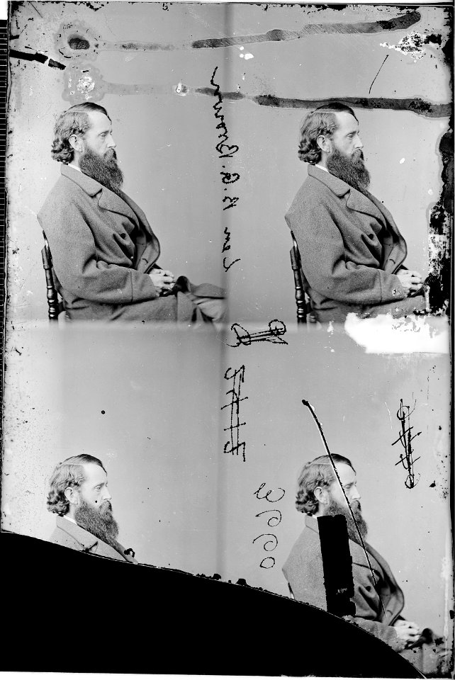 Hon. B. Gratz Brown, Missouri - NARA - 527011