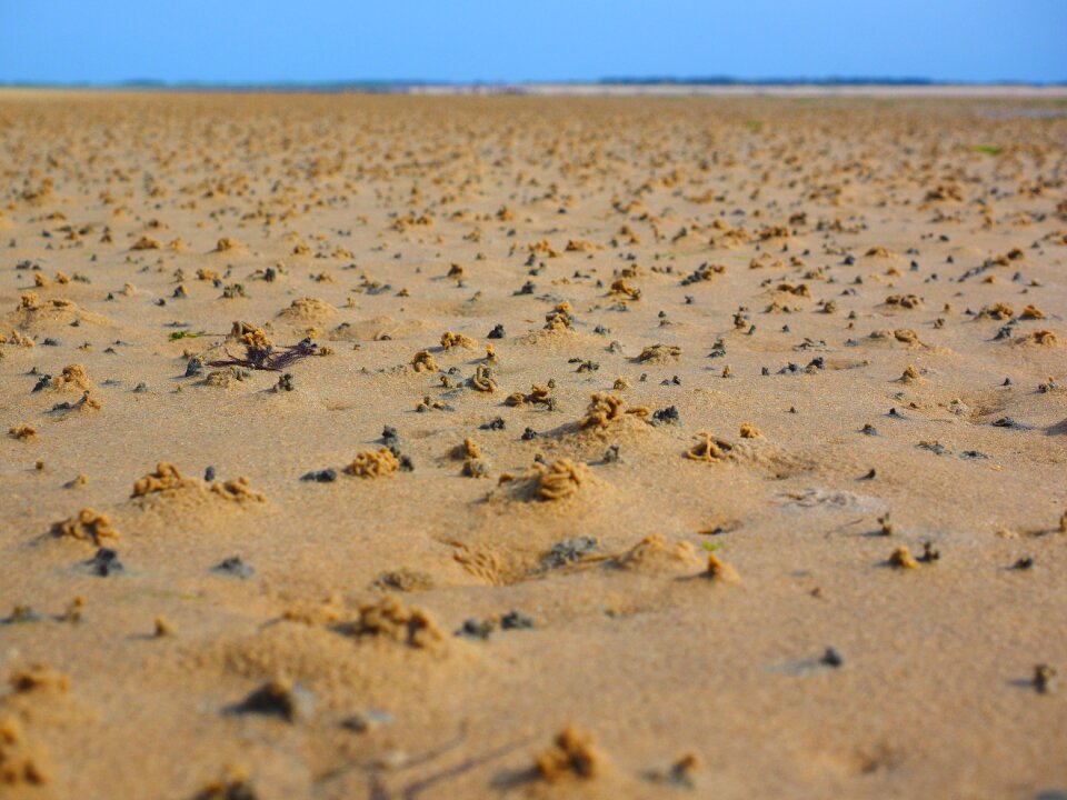 Watt hike mudflat hiking hike in the wadden