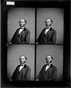 Hon. Demas Barnes, N.Y., Col. 33rd Ind. volunteers - NARA - 525494