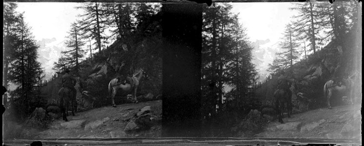 Homes a cavall en un vessant boscós