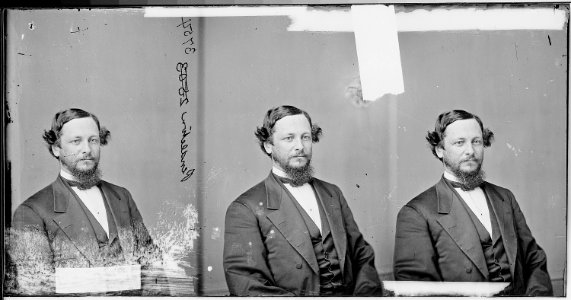 Hon. George H. Pendleton - NARA - 528239