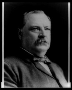 Hon. Grover Cleveland, head-and-shoulders portrait, facing right LCCN96522562