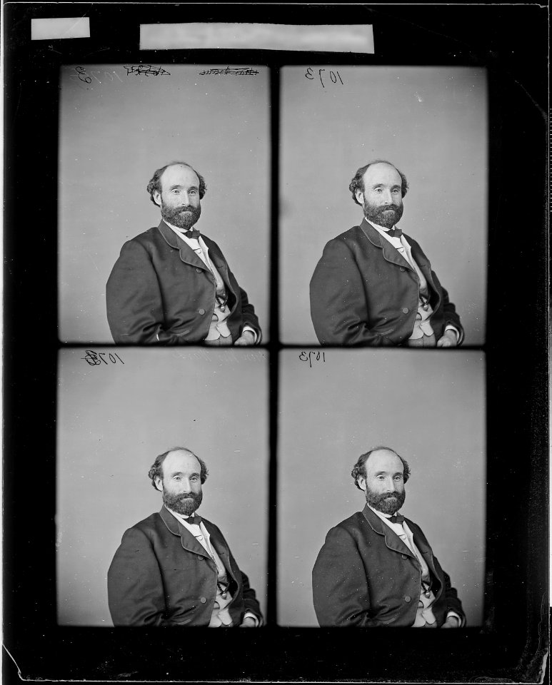 Hon. Hamilton Ward, N.Y - NARA - 525504