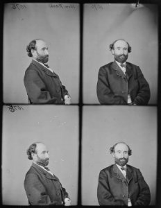 Hon. Hamilton Ward, N.Y., 40th and 41st Congress - NARA - 525343