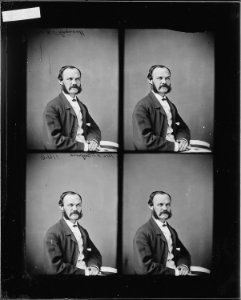 Hon. Henry J. Raymond, N.Y - NARA - 528129