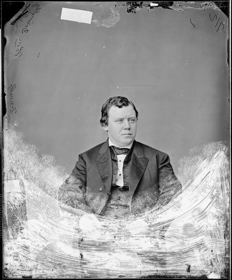 Hon. Ignatius Donnelly, Minn - NARA - 526051