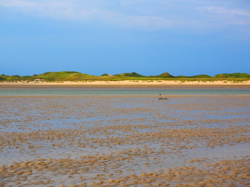 Shallow dunes dune landscape