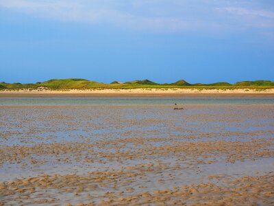 Shallow dunes dune landscape