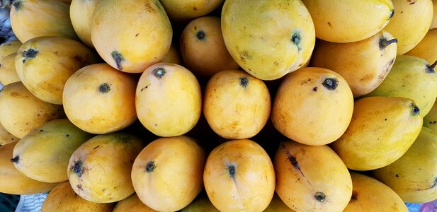 Desert food fruit