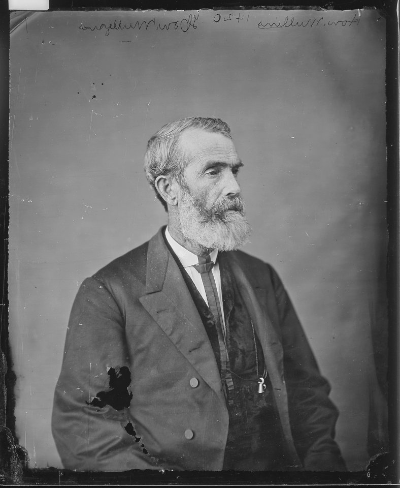 Hon. James Mullins, Tenn., 40th Congress - NARA - 525231