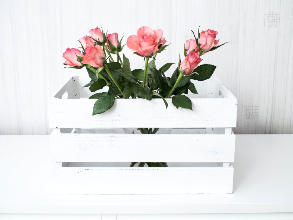Rose the delicacy bouquet