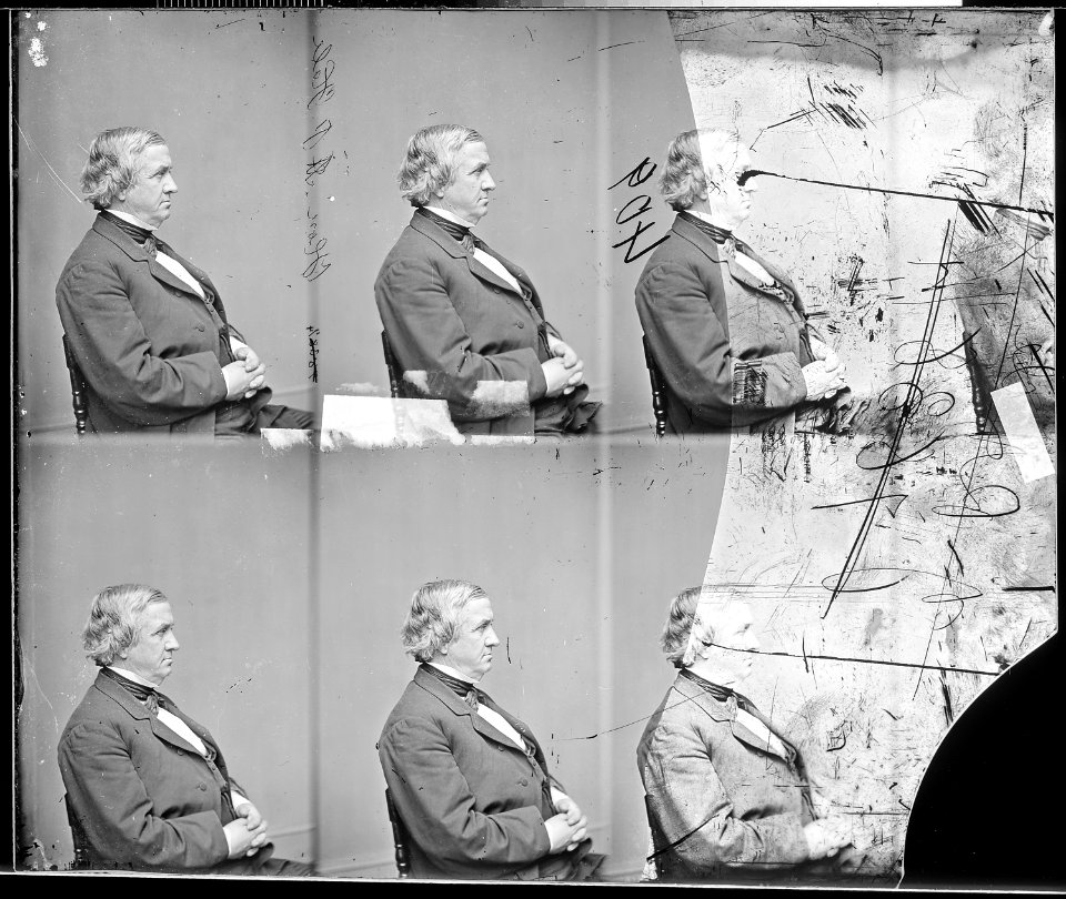Hon. John P. Hale, N.H - NARA - 526289