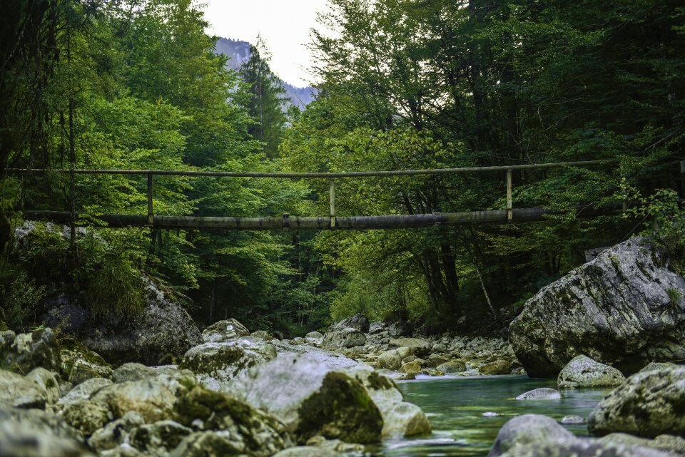 Landscape nature river