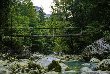 Landscape nature river