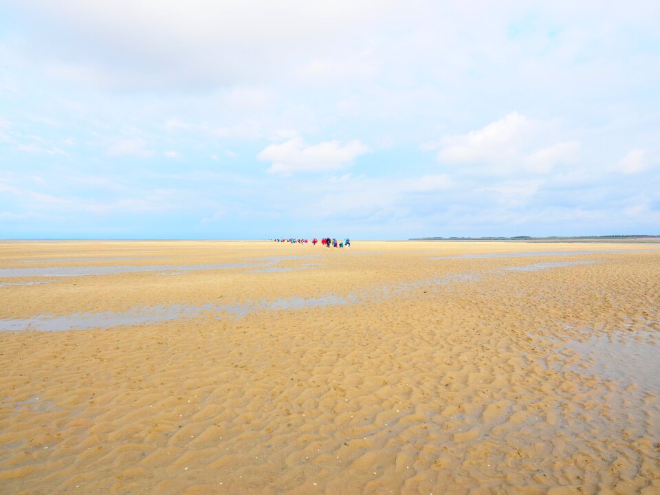 Dune landscape sand watt hike