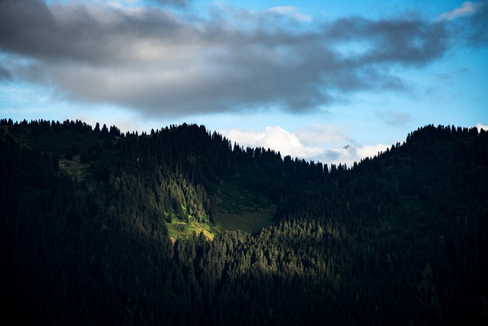 Grass mountain highland