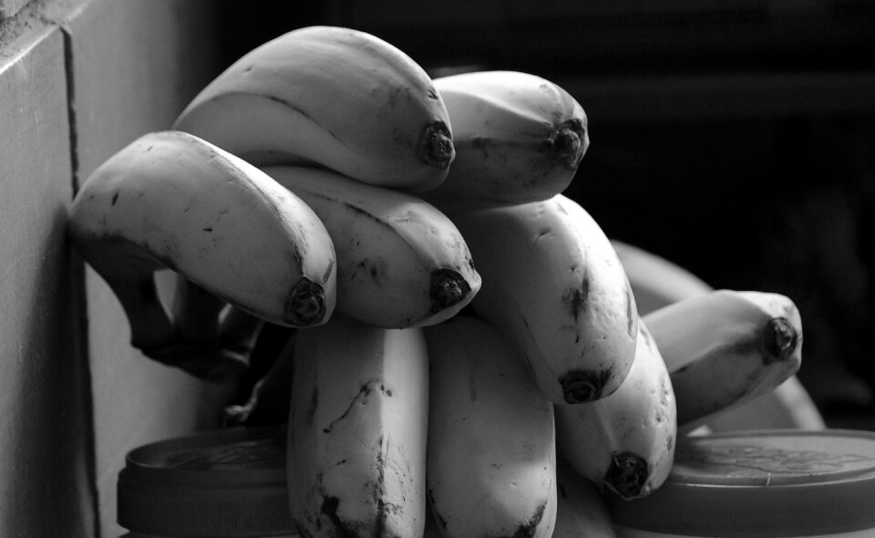 Banana tree fruit quindio