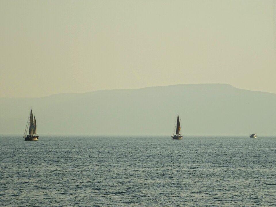 Summer nature leisure