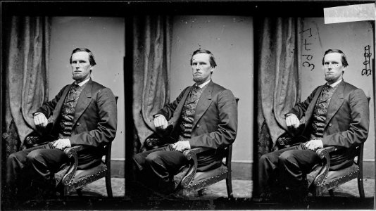 Hon. Preston B. Plumb, Kansas - NARA - 528061