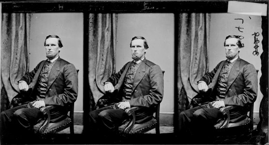 Hon. Preston B. Plumb, Kansas - NARA - 528044