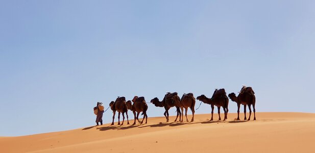 Sand sahara morocco photo