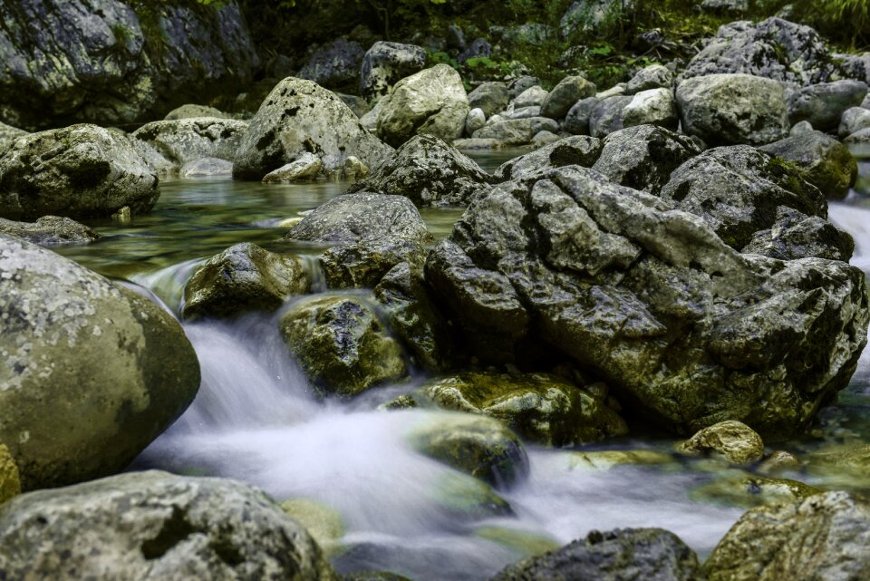 Landscape nature river