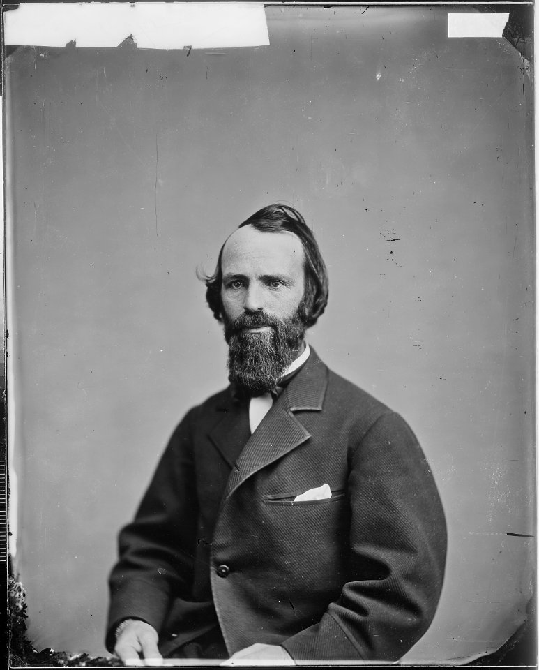 Hon. Samuel S. Cox, Ohio - NARA - 525974