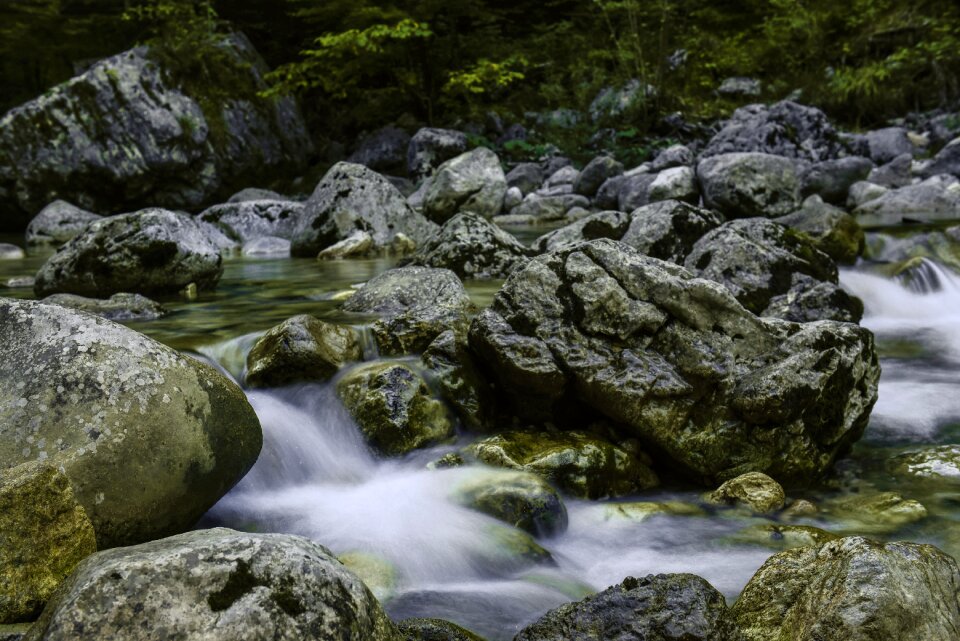 Landscape nature river