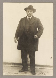 Hon. Theodore Roosevelt America's Idol LCCN2013651214