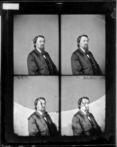 Hon. Thomas Stilwell, Ind., 39th Congress - NARA - 525376