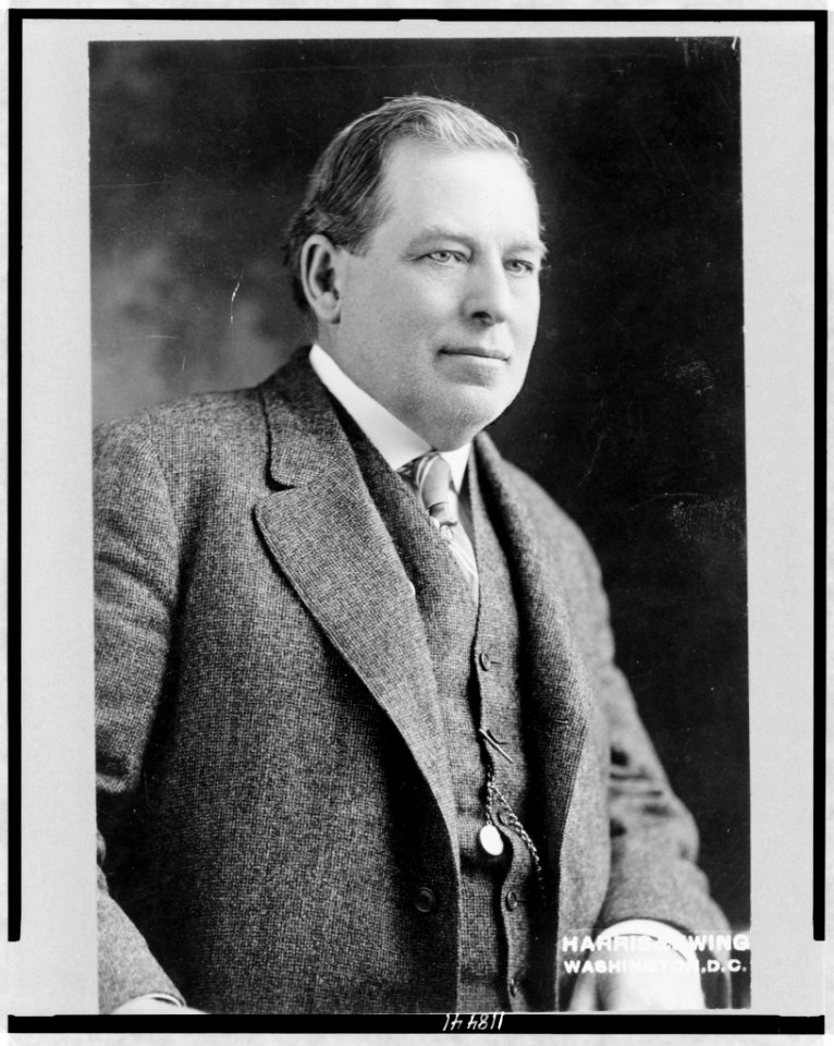 Hon. William Gay Brown, Jr., half-length portrait, facing right) - -Harris & Ewing, Washington, D.C LCCN97510099