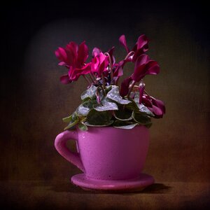 Flower flowerpot cup