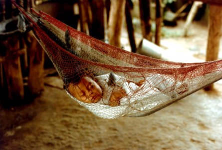 Honduran baby sleeping (5558885387) photo