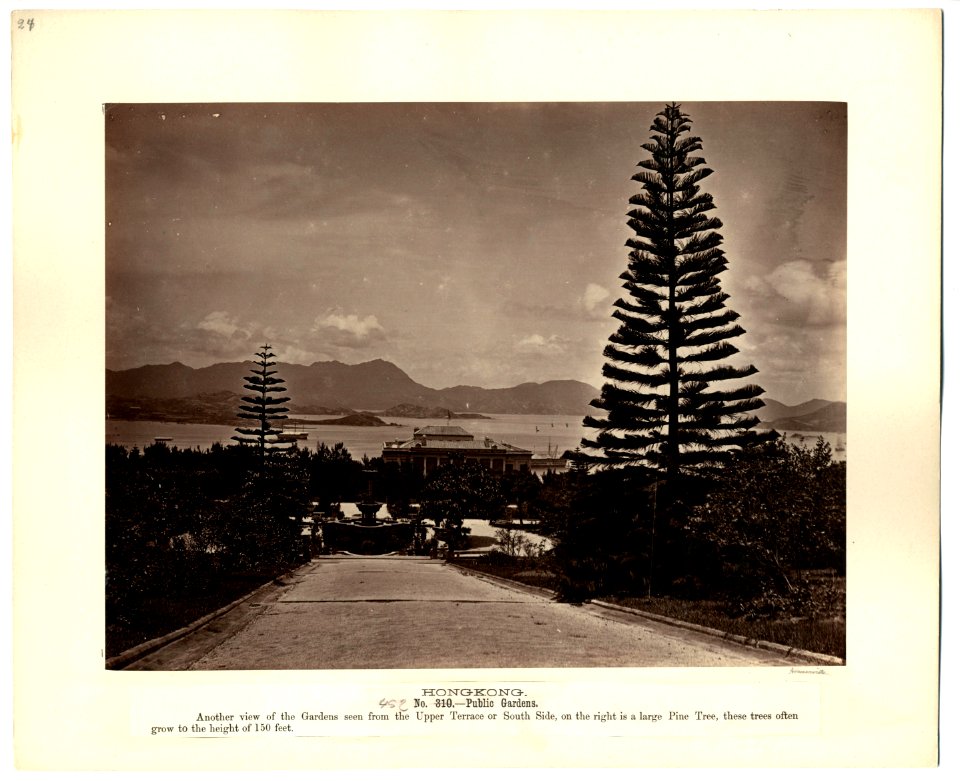 Hong Kong public gardens by Lai Afong, 1879