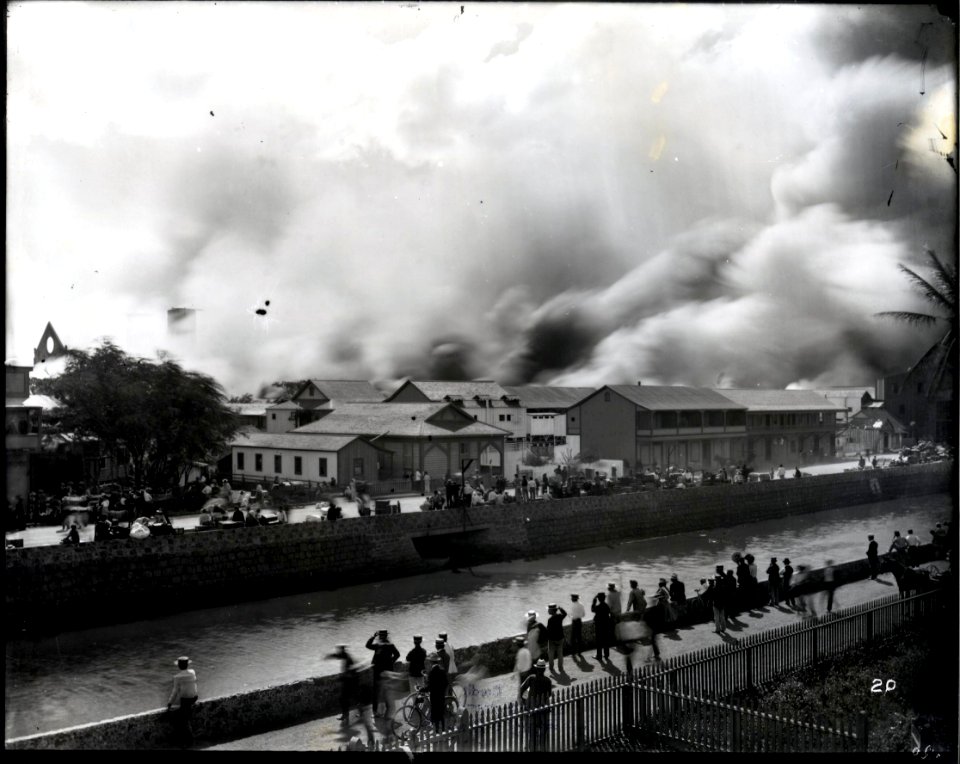 Honolulu Chinatown Fire of 1900 (35), photograph by Brother Bertram