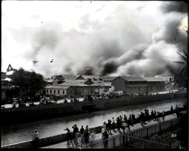 Honolulu Chinatown Fire of 1900 (35), photograph by Brother Bertram