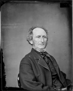 Hon. Tennis G. Bergen, N.Y - NARA - 526036