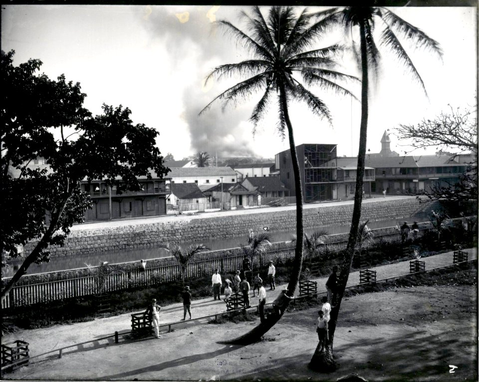 Honolulu Chinatown Fire of 1900 (13), photograph by Brother Bertram