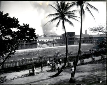 Honolulu Chinatown Fire of 1900 (13), photograph by Brother Bertram