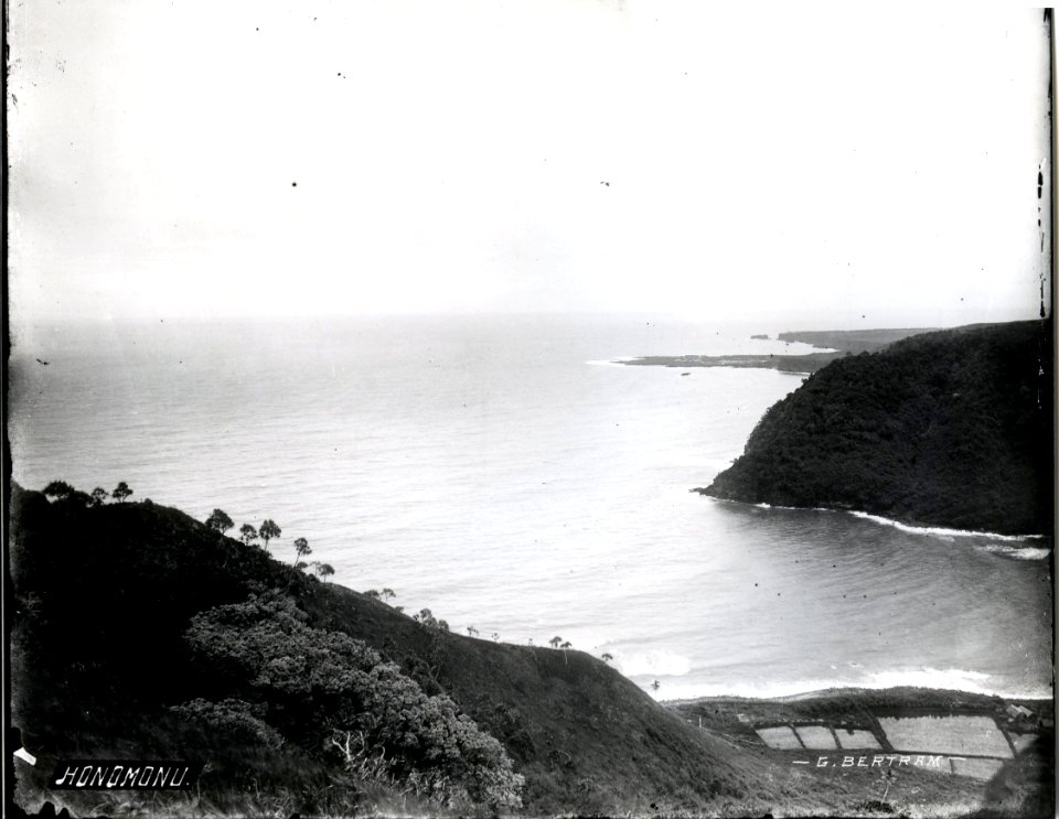 Honomonu, photograph by Brother Bertram