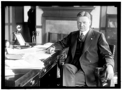 HOOVER, HERBERT C. HEAD OF FOOD ADM.; DIS. GEN. OF RELIEF, SUPR.; COUNCIL OF SUP. ANDRELIEF, ETC.; PRESIDENT OF THE UNITED STATES, 1929-1933 LCCN2016868991