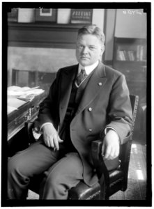 HOOVER, HERBERT C. HEAD OF FOOD ADM.; DIS. GEN. OF RELIEF, SUPR.; COUNCIL OF SUP. ANDRELIEF, ETC.; PRESIDENT OF THE UNITED STATES, 1929-1933 LCCN2016868990
