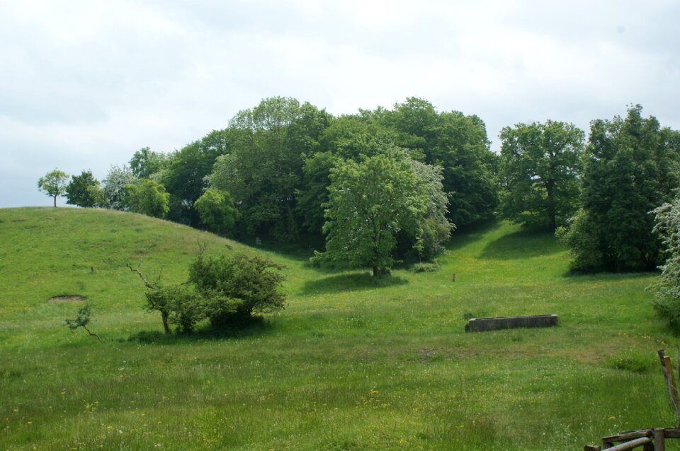 Recreational area pawn sche nature