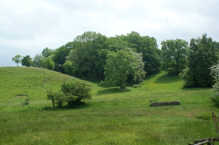 Recreational area pawn sche nature